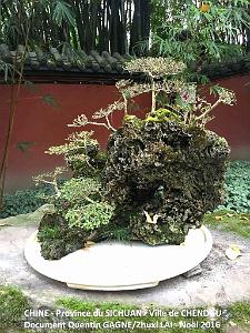 Chendgu 015